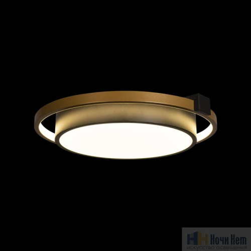 Светильник потолочный LOFT IT Mike 10169, раздел каталога Круглые современные светильники интернет-магазина Ночи Нет