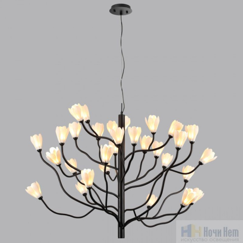 Люстра Odeon Light Gardi 5090/30, раздел каталога Люстры с плафонами интернет-магазина Ночи Нет