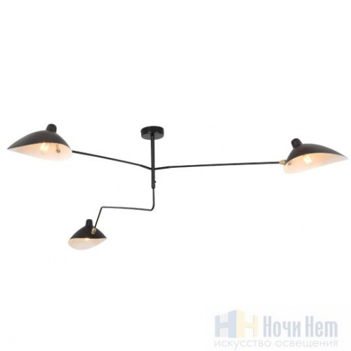 Люстра St.Luce Spruzzo SL305.402.03, раздел каталога Люстры с плафонами интернет-магазина Ночи Нет