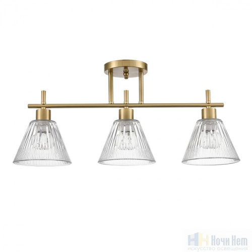 Люстра Lumion Vivian 8188/3C, раздел каталога Люстры с плафонами интернет-магазина Ночи Нет