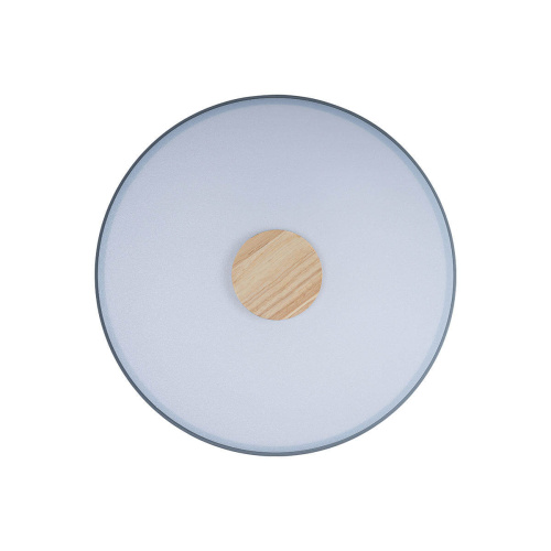 Светильник потолочный Loft IT Axel 10003/24 Grey, раздел каталога Круглые современные светильники интернет-магазина Ночи Нет