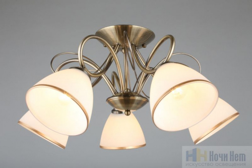 Люстра Omnilux Alimini OML-25307-05, раздел каталога Люстры с плафонами интернет-магазина Ночи Нет