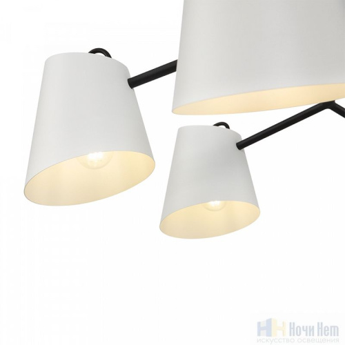 Люстра Freya Nordic FR5127PL-06B, раздел каталога Люстры с плафонами интернет-магазина Ночи Нет