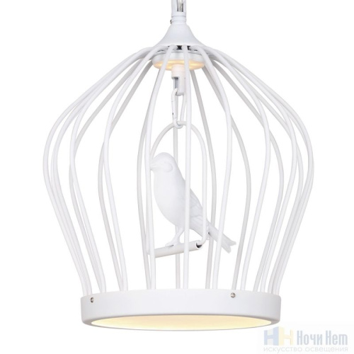 Люстра Favourite Chick 1931-2P, раздел каталога Светодиодные люстры интернет-магазина Ночи Нет