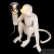 Лампа настольная Loft IT Monkey 10314T/A, количество ламп - 1, площадь освещения - 3 кв.м Лампа настольная Loft IT Monkey 10314T/A, раздел каталога Детские настольные лампы интернет-магазина Ночи Нет
