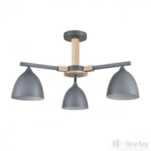 Люстра Lumion Colange 8096/3C, раздел каталога Люстры с плафонами интернет-магазина Ночи Нет