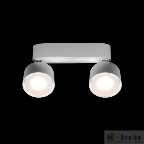Светильник накладной LOFT IT Focus 10323/2A White, раздел каталога Накладные точечные светильники интернет-магазина Ночи Нет