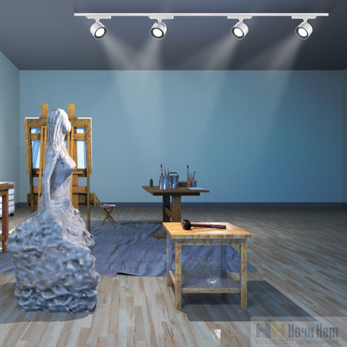 картинка Однофазный трековый светильник Novotech Pirum 358432 от магазина Ночи Нет!