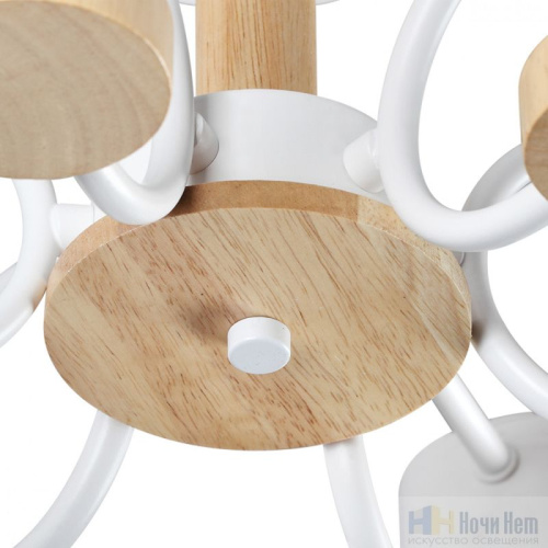 Люстра Lumion Rondo 8231/6C, раздел каталога Люстры с плафонами интернет-магазина Ночи Нет