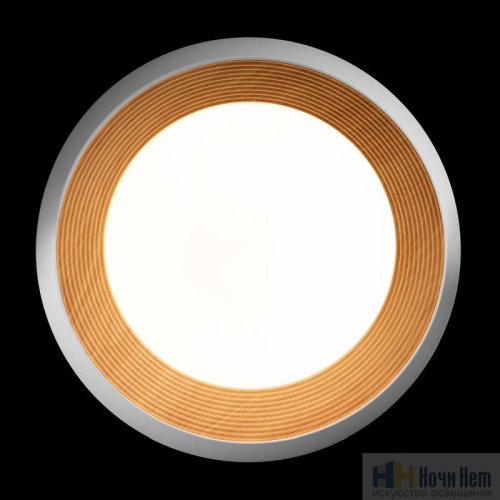 10255/500 White Потолочный светильник LOFT IT Folk, раздел каталога Круглые современные светильники интернет-магазина Ночи Нет