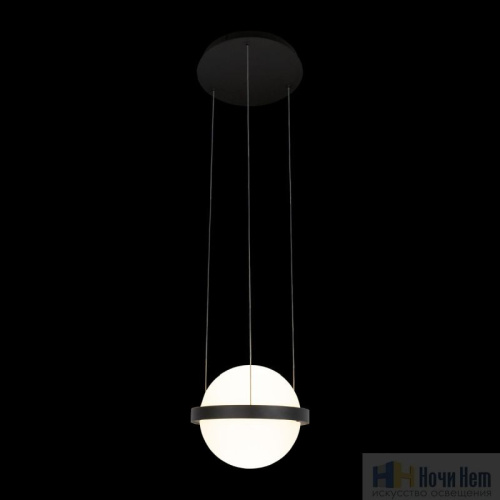 Светильник подвесной Loft IT Jardin 10121/A, раздел каталога Подвесы 1 лампа интернет-магазина Ночи Нет