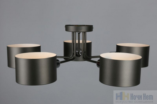 Люстра Omnilux Liser? OML-54507-05, раздел каталога Люстры с плафонами интернет-магазина Ночи Нет