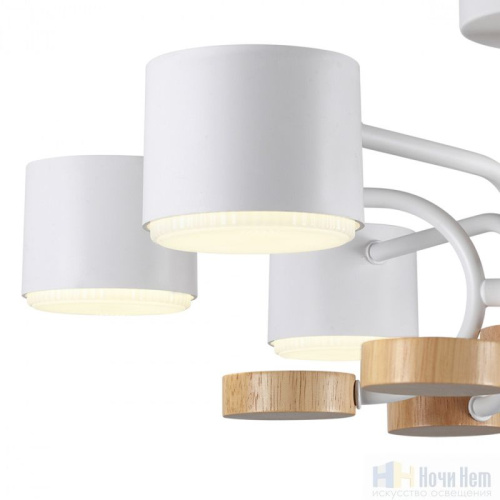 Люстра Lumion Rondo 8231/6C, раздел каталога Люстры с плафонами интернет-магазина Ночи Нет