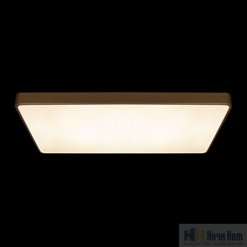 Светильник потолочный Loft IT Flims 10228/E, раздел каталога Прямоугольные светильники интернет-магазина Ночи Нет