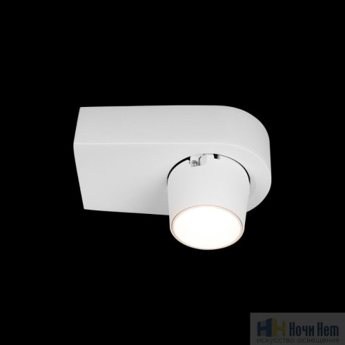 Спот LOFT IT Quiet 10320 White, раздел каталога Споты интернет-магазина Ночи Нет