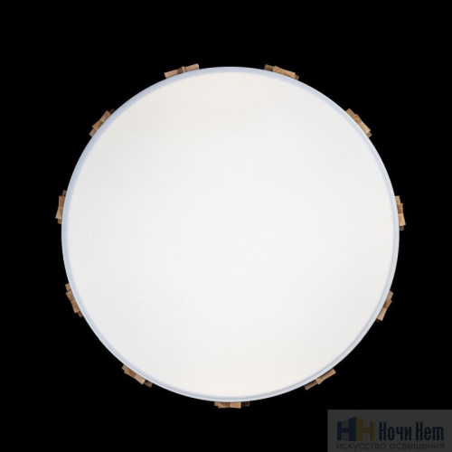 Светильник Loft IT Axel 10006/36 White, раздел каталога Детские светильники интернет-магазина Ночи Нет