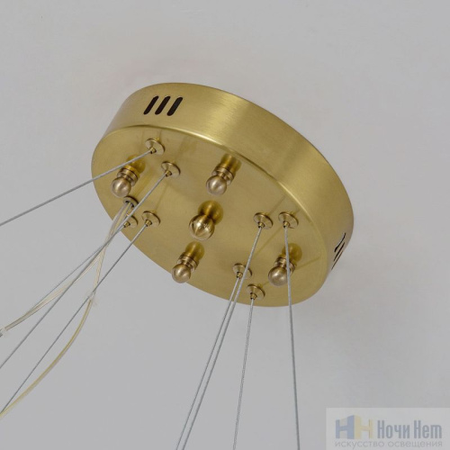 Люстра Favourite Placerat 4012-12P, раздел каталога Светодиодные люстры интернет-магазина Ночи Нет