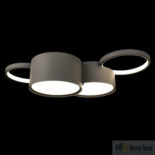 Люстра Loft IT Pin 10317/4 Grey, раздел каталога Светодиодные люстры интернет-магазина Ночи Нет