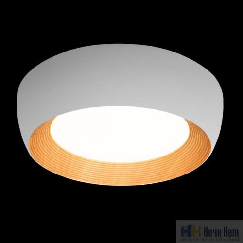 10255/500 White Потолочный светильник LOFT IT Folk, раздел каталога Круглые современные светильники интернет-магазина Ночи Нет