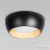 10255/350 Black Потолочный светильник LOFT IT Folk, раздел каталога Круглые современные светильники интернет-магазина Ночи Нет