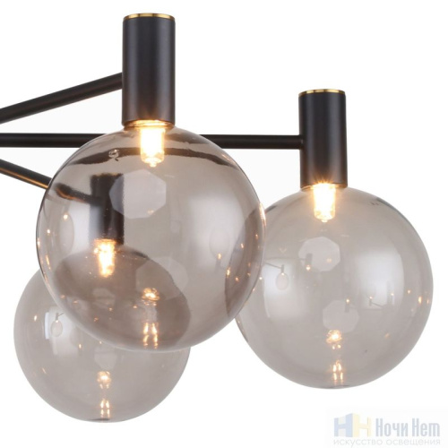 Люстра Favourite Eternity 2766-6P, раздел каталога Люстры с плафонами интернет-магазина Ночи Нет