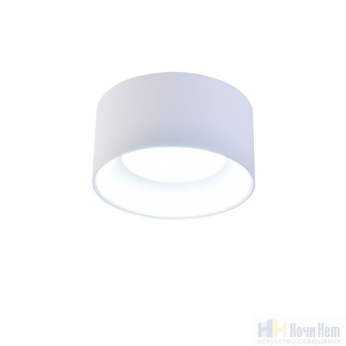 Светильник накладной Favourite Rout 4211-1C, раздел каталога Накладные точечные светильники интернет-магазина Ночи Нет