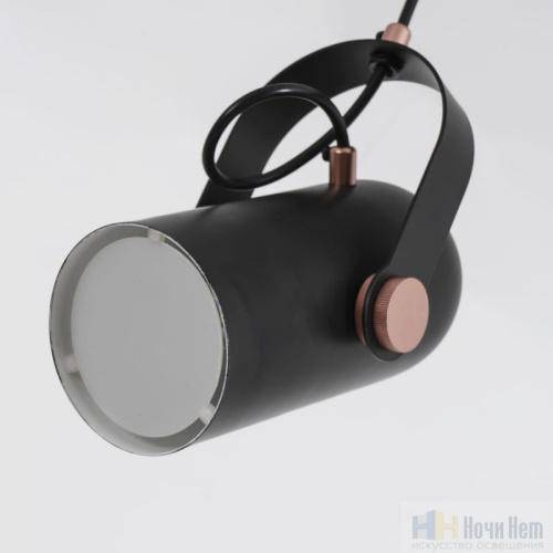 Светильник подвесной Favourite Ampolla 2007-1P, раздел каталога Подвесы 1 лампа интернет-магазина Ночи Нет