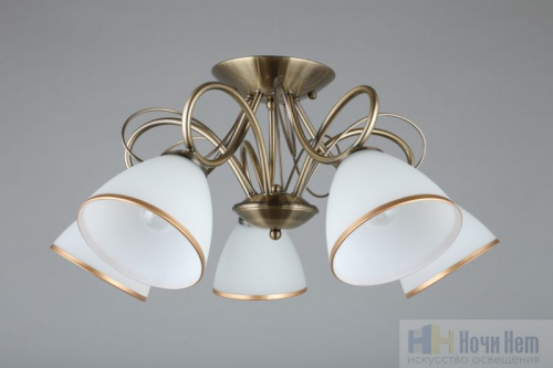 Люстра Omnilux Alimini OML-25307-05, раздел каталога Люстры с плафонами интернет-магазина Ночи Нет