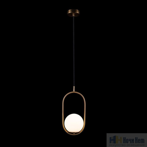 Светильник подвесной Loft IT Glob LOFT2595-A, раздел каталога Подвесы 1 лампа интернет-магазина Ночи Нет