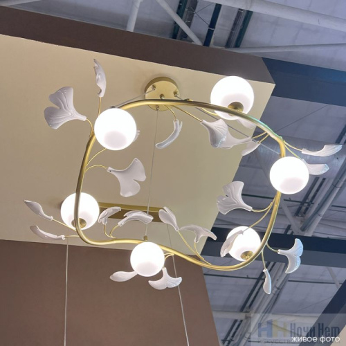 Люстра Crystal Lux COLIBRI SP6 GOLD 0141/306, раздел каталога Стеклянные люстры интернет-магазина Ночи Нет