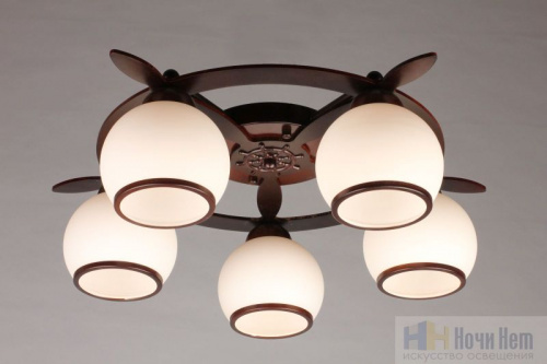 Люстра потолочная Omnilux Fronteira OML-50507-05, раздел каталога Люстры с плафонами интернет-магазина Ночи Нет
