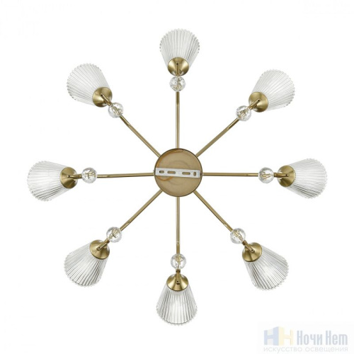 Люстра Lumion Aurica 8046/8C, раздел каталога Люстры с плафонами интернет-магазина Ночи Нет