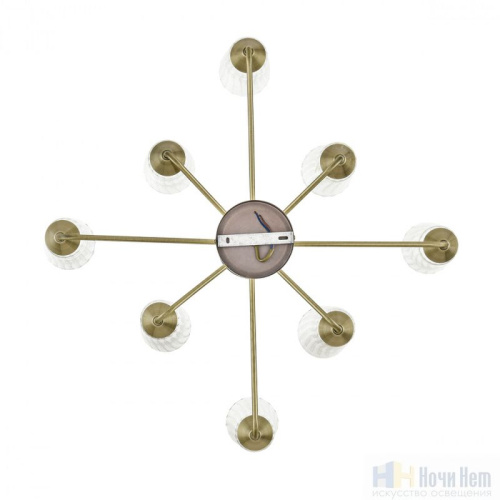Люстра Lumion Doliana 6584/8C, раздел каталога Люстры с плафонами интернет-магазина Ночи Нет