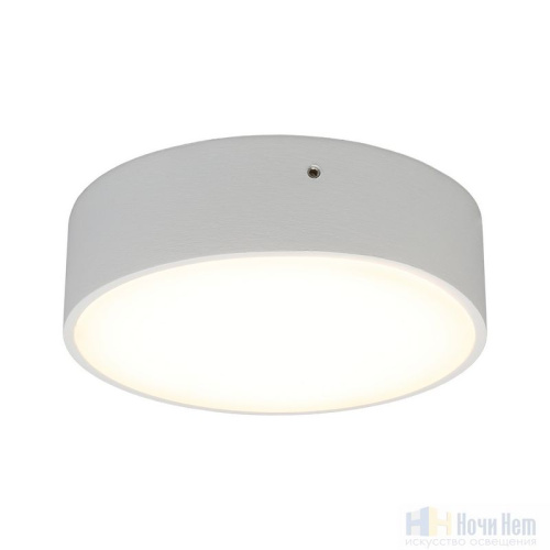 Светильник накладной Aployt Evon APL.0113.09.12, раздел каталога Накладные точечные светильники интернет-магазина Ночи Нет