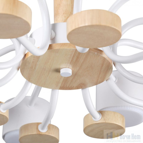 Люстра Lumion Rondo 8196/10C, раздел каталога Люстры с плафонами интернет-магазина Ночи Нет