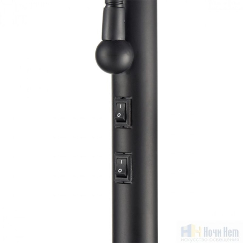 Торшер Lumion Kaya 8042/2F, раздел каталога Торшеры с абажуром интернет-магазина Ночи Нет