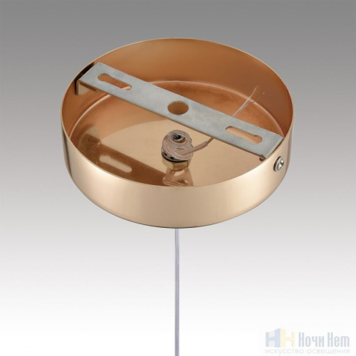 Светильник подвесной Lumion Rimini 8083/1A, раздел каталога Подвесы 1 лампа интернет-магазина Ночи Нет