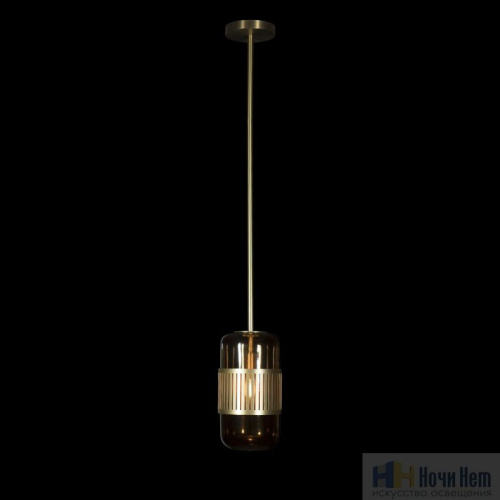 Светильник подвесной Loft IT Hudson 10098P, раздел каталога Подвесы 1 лампа интернет-магазина Ночи Нет