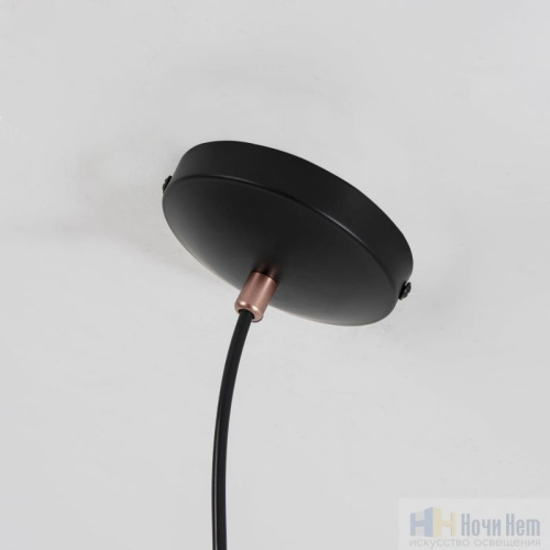 Светильник подвесной Favourite Ampolla 2007-1P, раздел каталога Подвесы 1 лампа интернет-магазина Ночи Нет