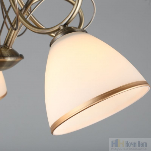 Люстра Omnilux Alimini OML-25307-05, раздел каталога Люстры с плафонами интернет-магазина Ночи Нет