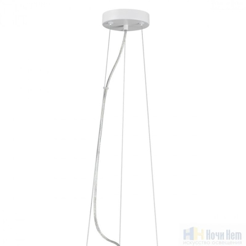 Светильник подвесной Lumion Animaisa 8002/1A, раздел каталога Подвесы 1 лампа интернет-магазина Ночи Нет