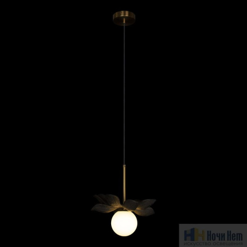 Светильник подвесной Loft IT Monro 10213/B Black, раздел каталога Подвесы 1 лампа интернет-магазина Ночи Нет