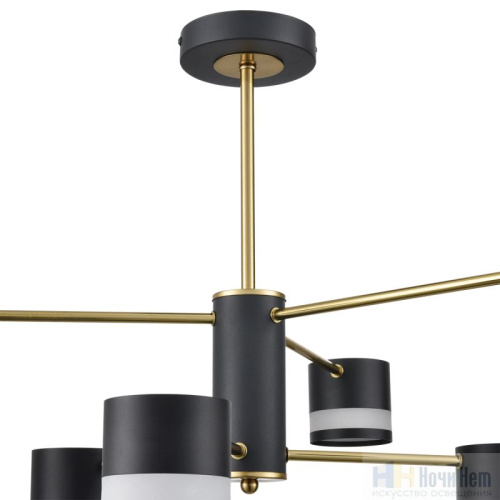 Люстра Lumion Lanika 8240/6C, раздел каталога Люстры с плафонами интернет-магазина Ночи Нет