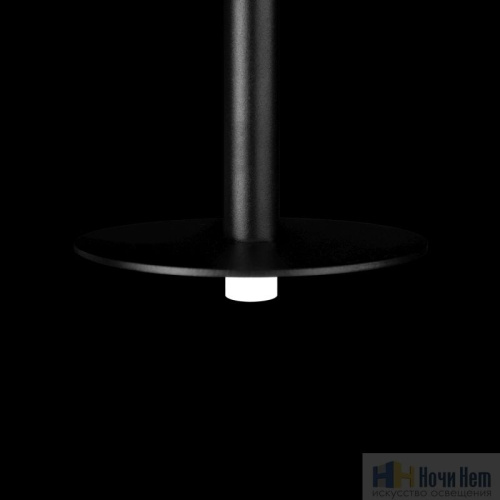Светильник подвесной LOFT IT Reed 10358/830 Disk, раздел каталога Подвесы 1 лампа интернет-магазина Ночи Нет
