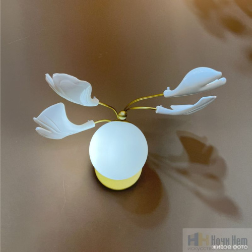 Бра Crystal Lux COLIBRI AP1 GOLD 0141/401, раздел каталога Бра с плафоном интернет-магазина Ночи Нет