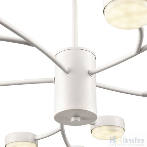 Люстра Lumion Torina 8265/15, раздел каталога Люстры с плафонами интернет-магазина Ночи Нет