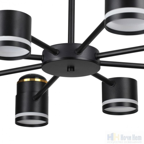 Люстра Lumion Virsava 8234/8C, раздел каталога Люстры с плафонами интернет-магазина Ночи Нет