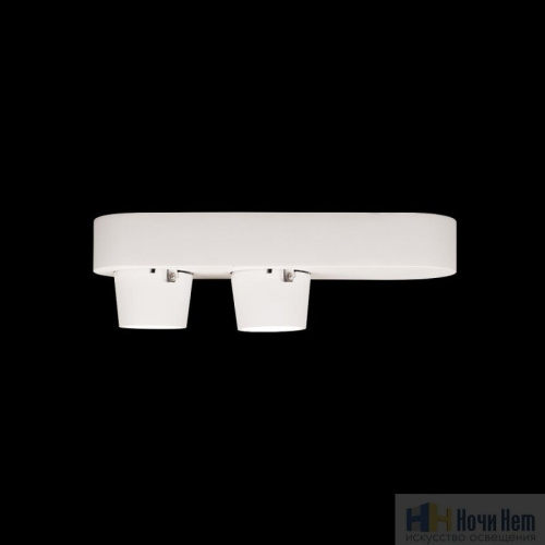 Спот LOFT IT Quiet 10320/2 White, раздел каталога Споты интернет-магазина Ночи Нет