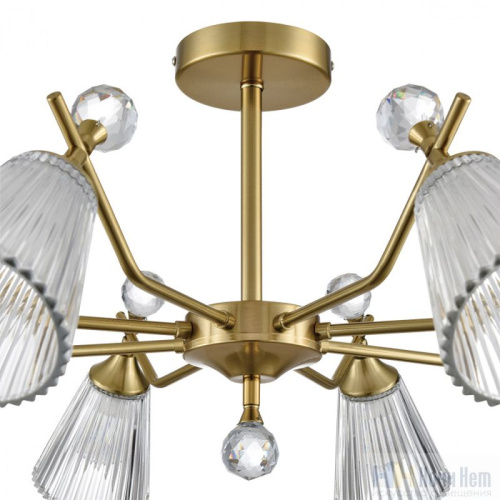 Люстра Lumion Aurica 8046/8C, раздел каталога Люстры с плафонами интернет-магазина Ночи Нет