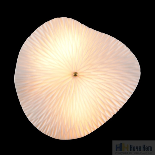 Бра Crystal Lux CONTESSA AP2.2 1434/403, раздел каталога Бра с плафоном интернет-магазина Ночи Нет